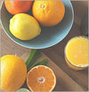 GASTROBACK Advanced Pro S Citrus Juicer 41150