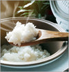 GASTROBACK  Design Rice Cooker  3 L 42507