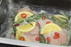 CASO SV900 - Sous Vide Garer 1306