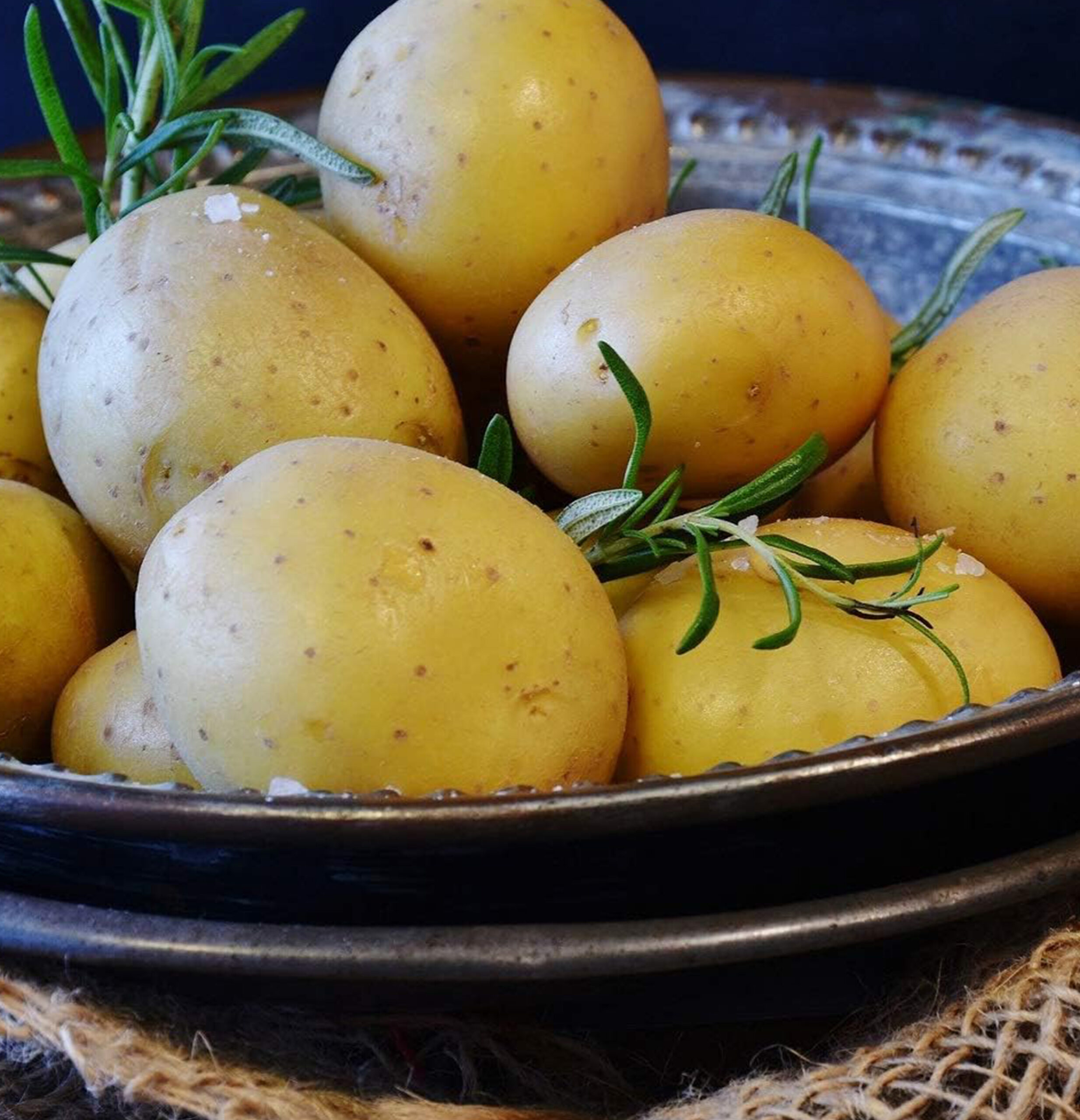 Food Steamer 42510-4