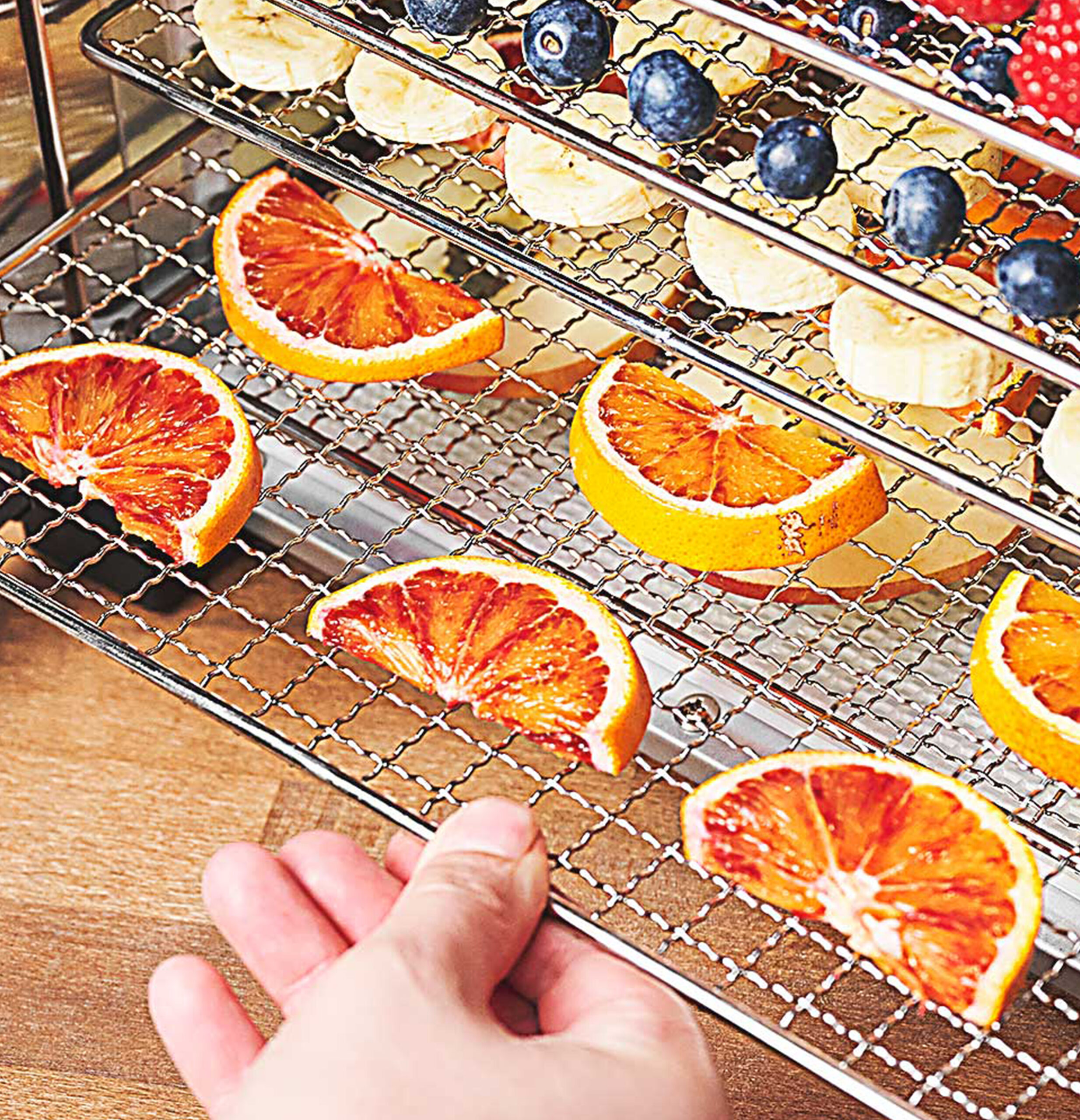 Dehydrator Max 46603-12