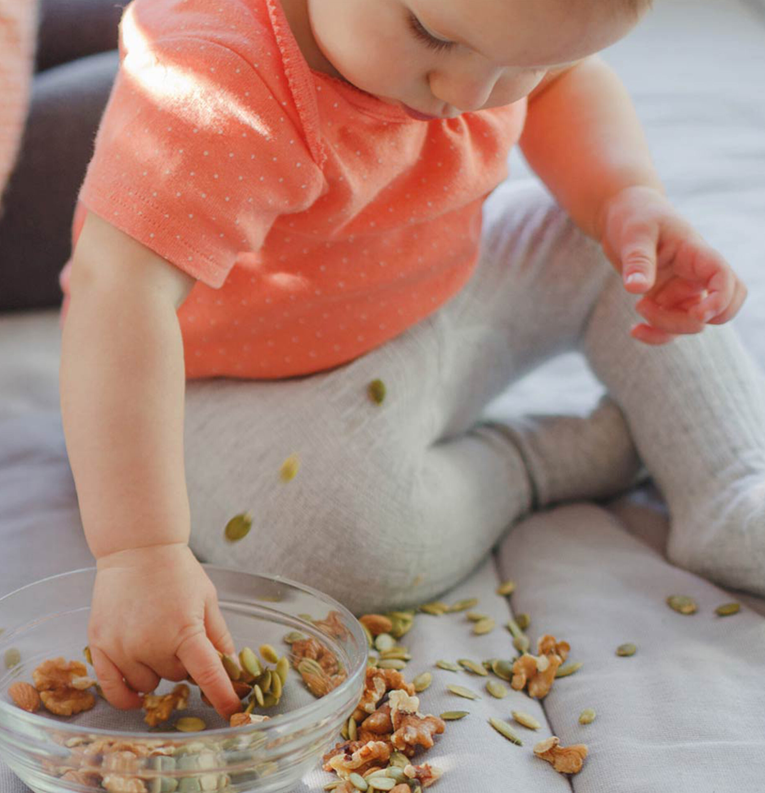 Dehydrator Max 46603-15