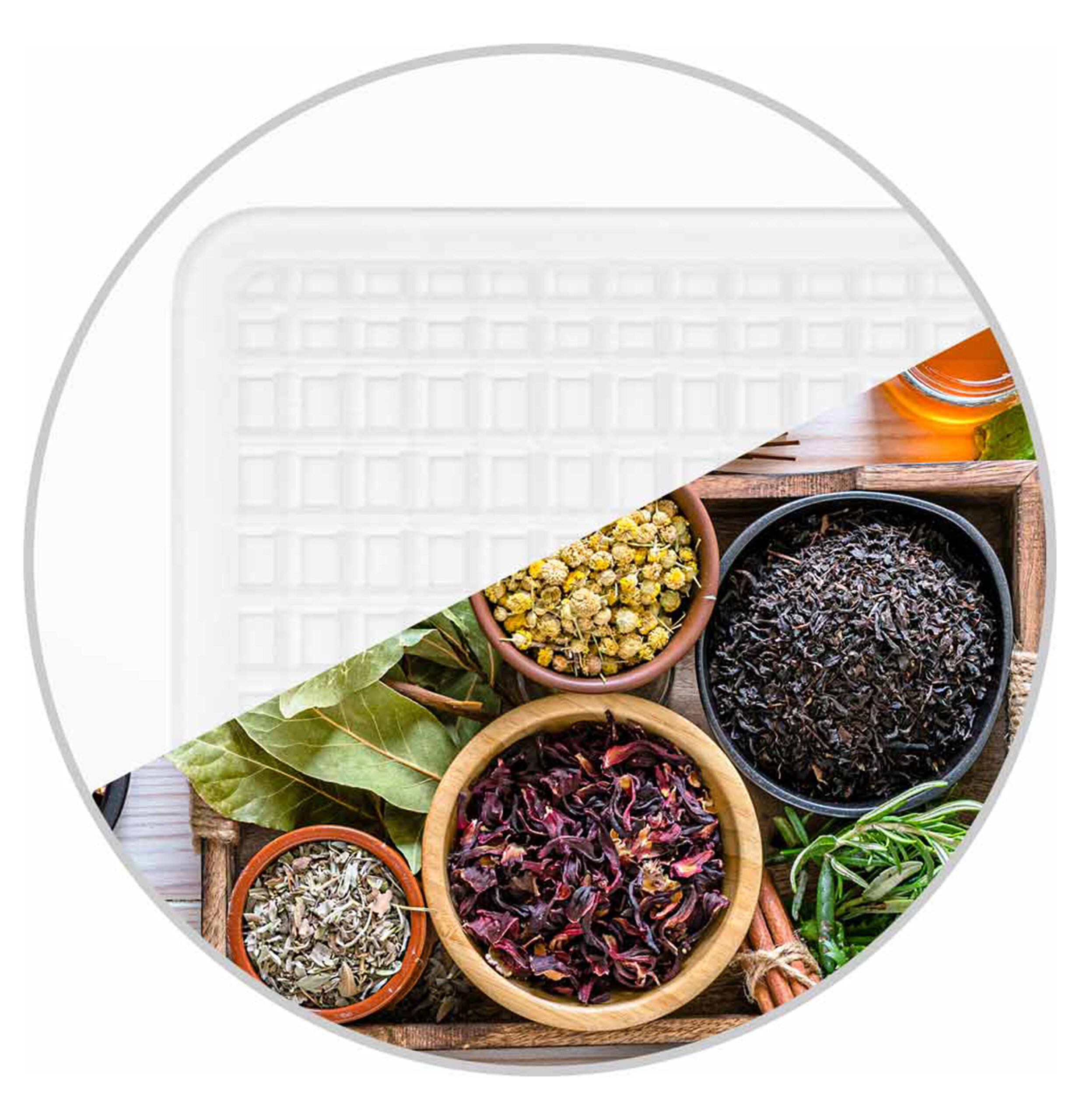 Dehydrator Max 46603-8