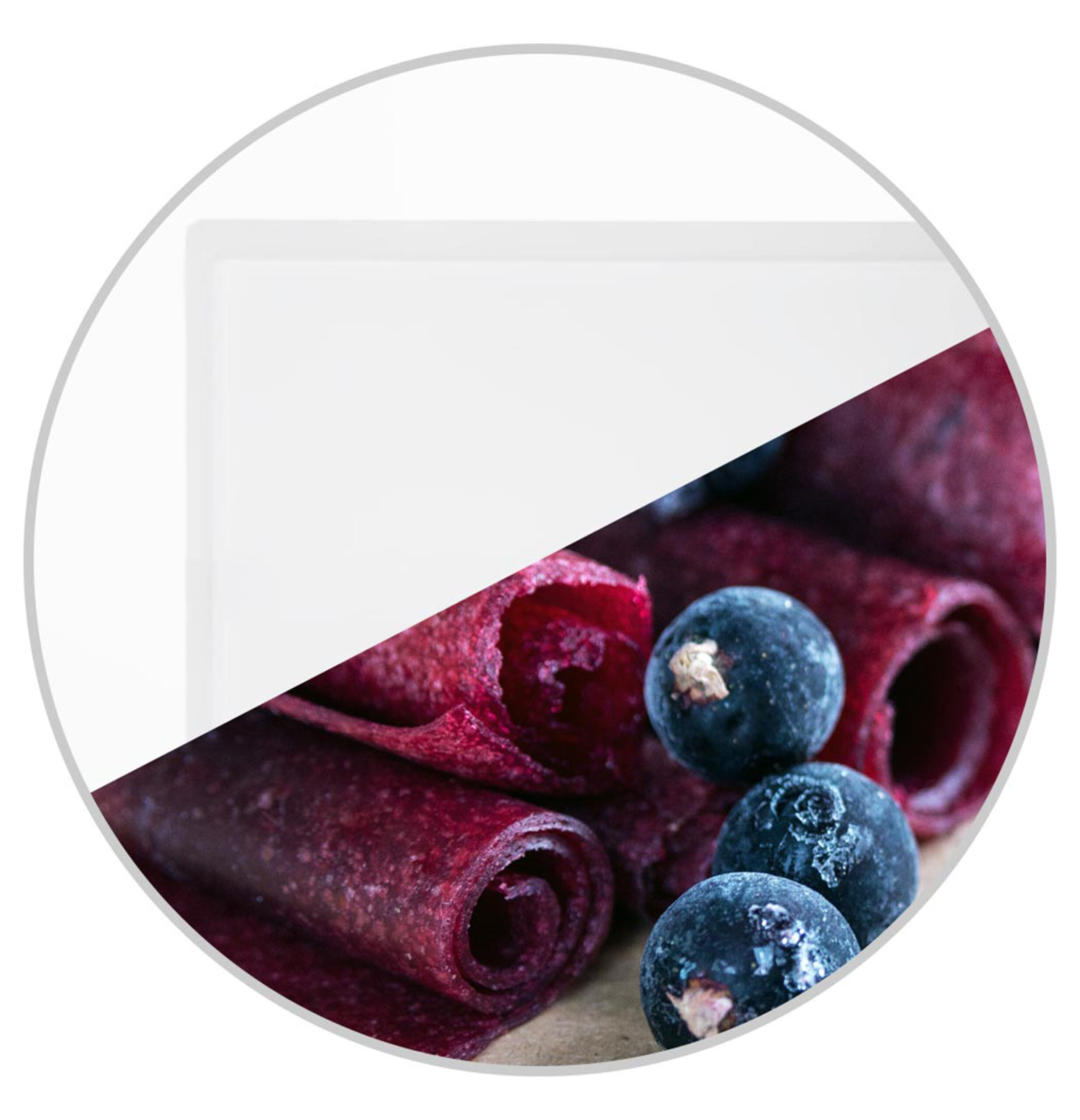 Dehydrator Max 46603-9