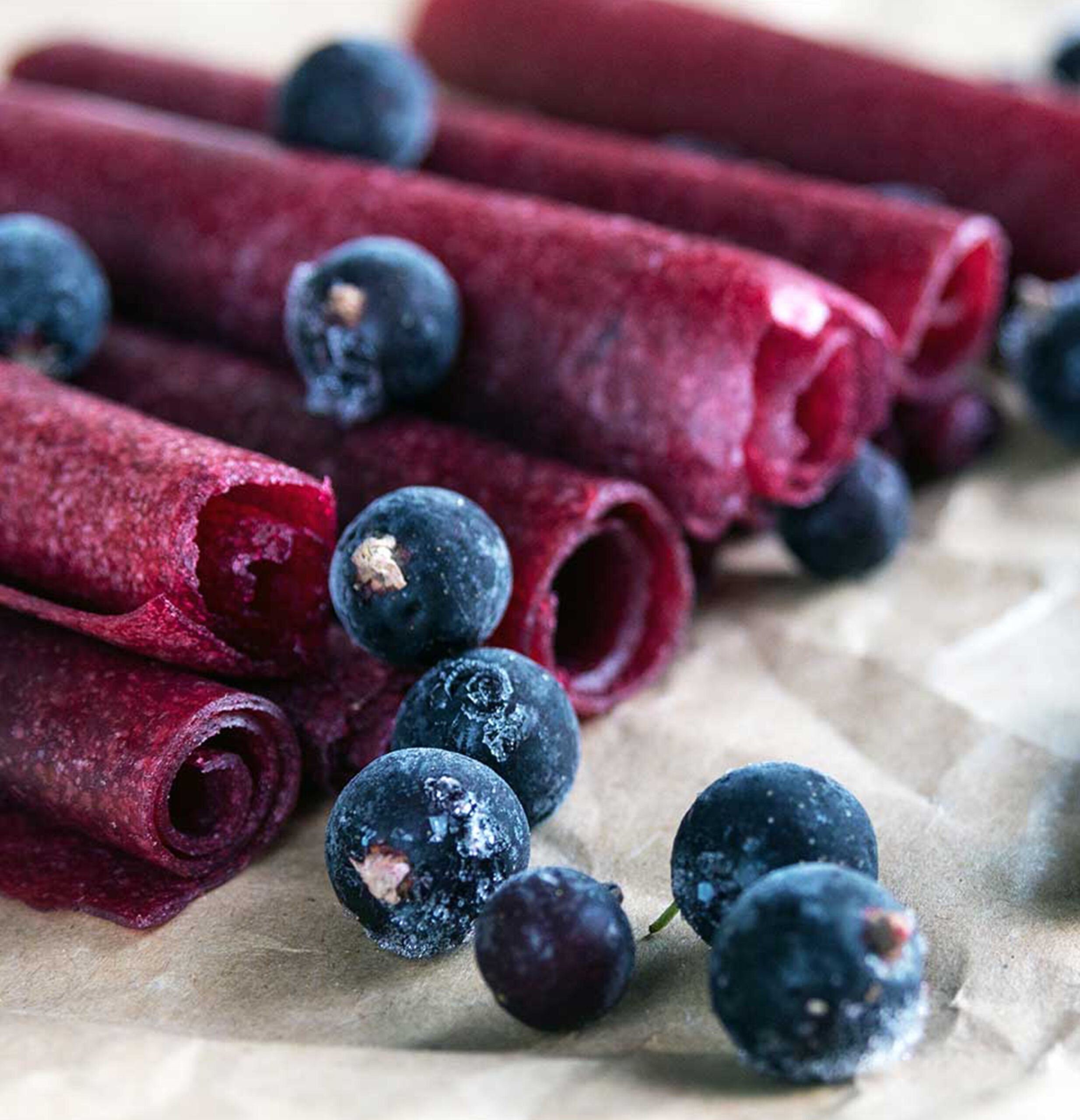 Dehydrator Mini Professional 46604-13