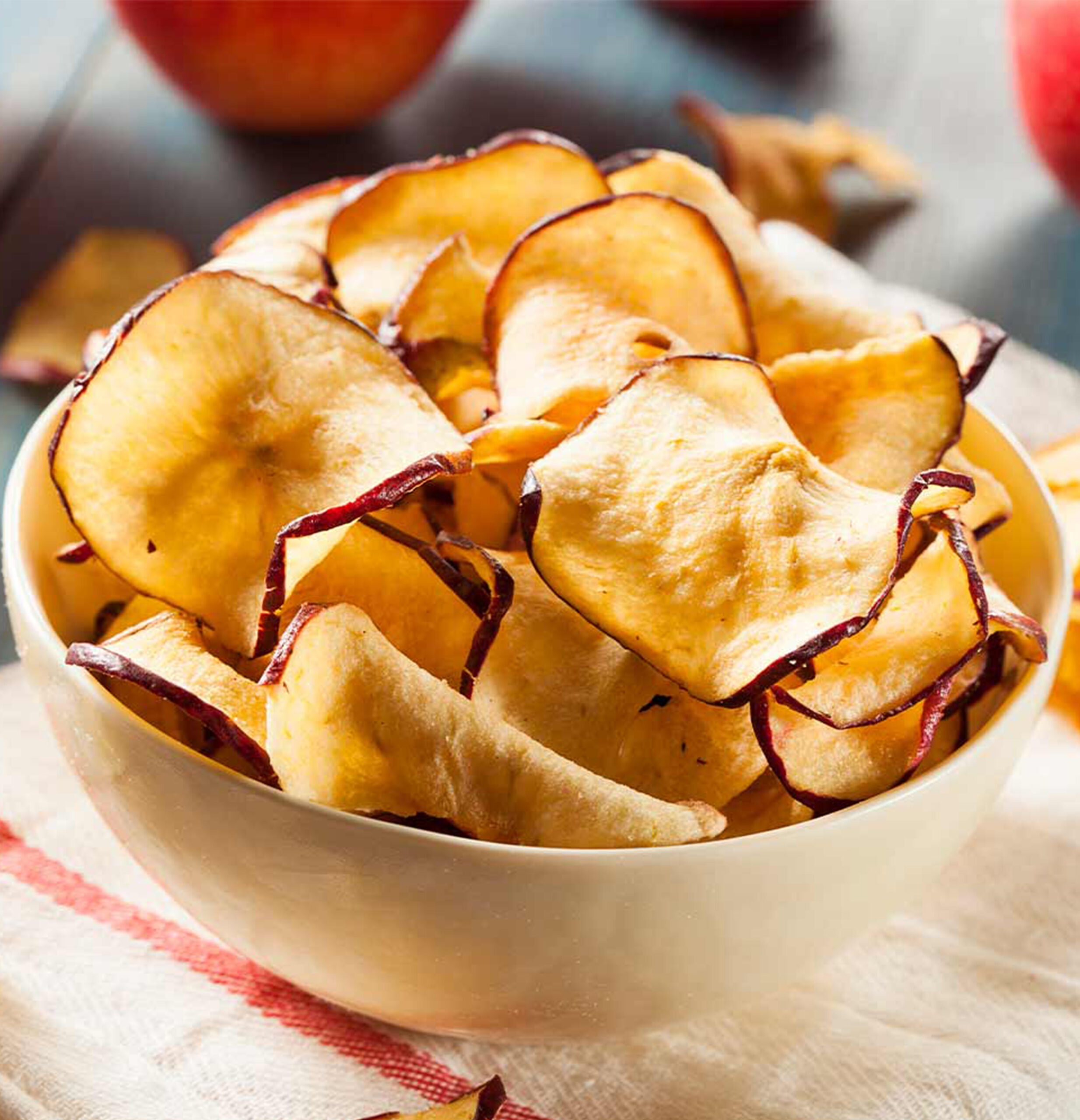 Dehydrator Mini Professional 46604-14