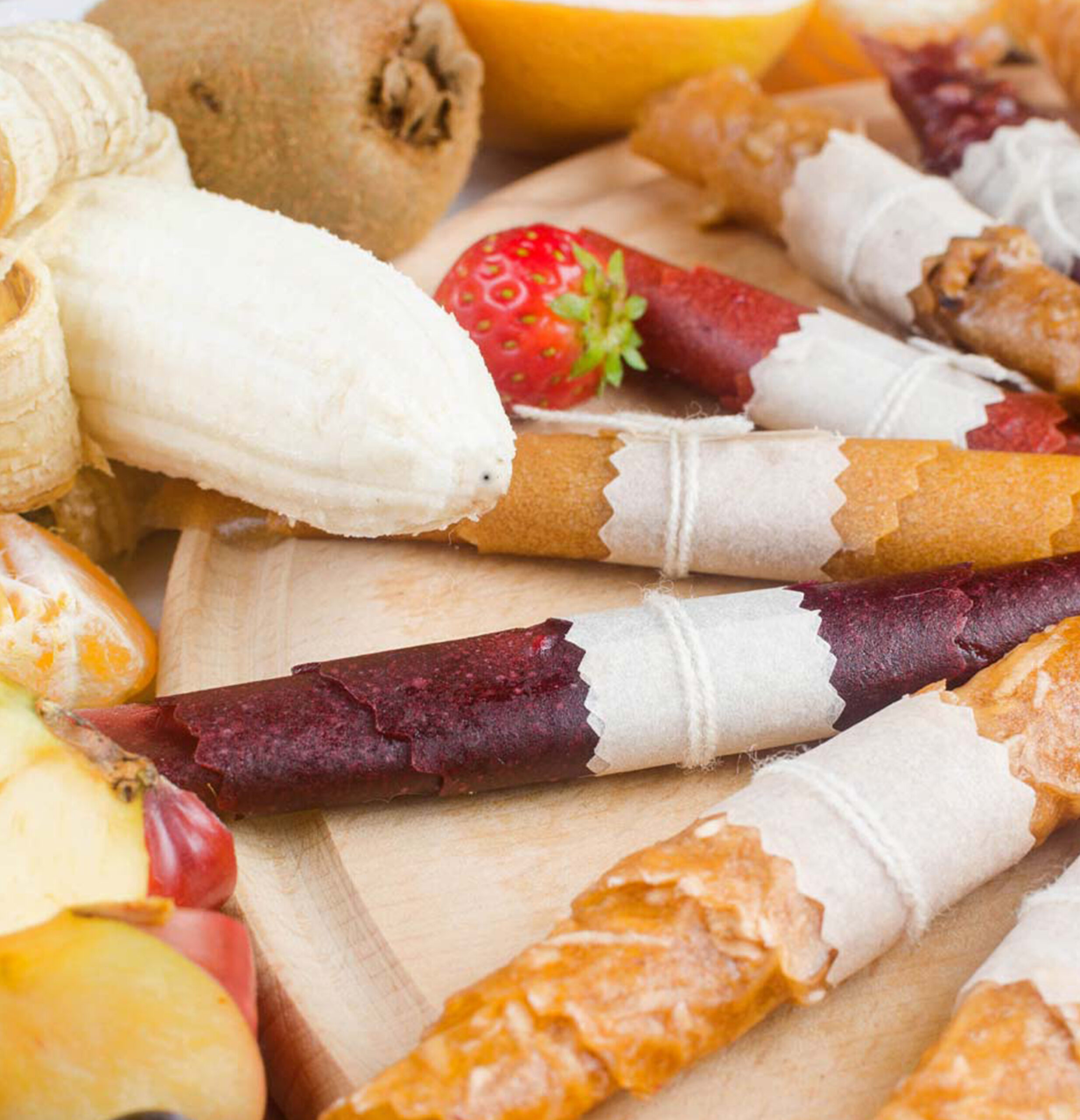 Dehydrator Mini Professional 46604-17