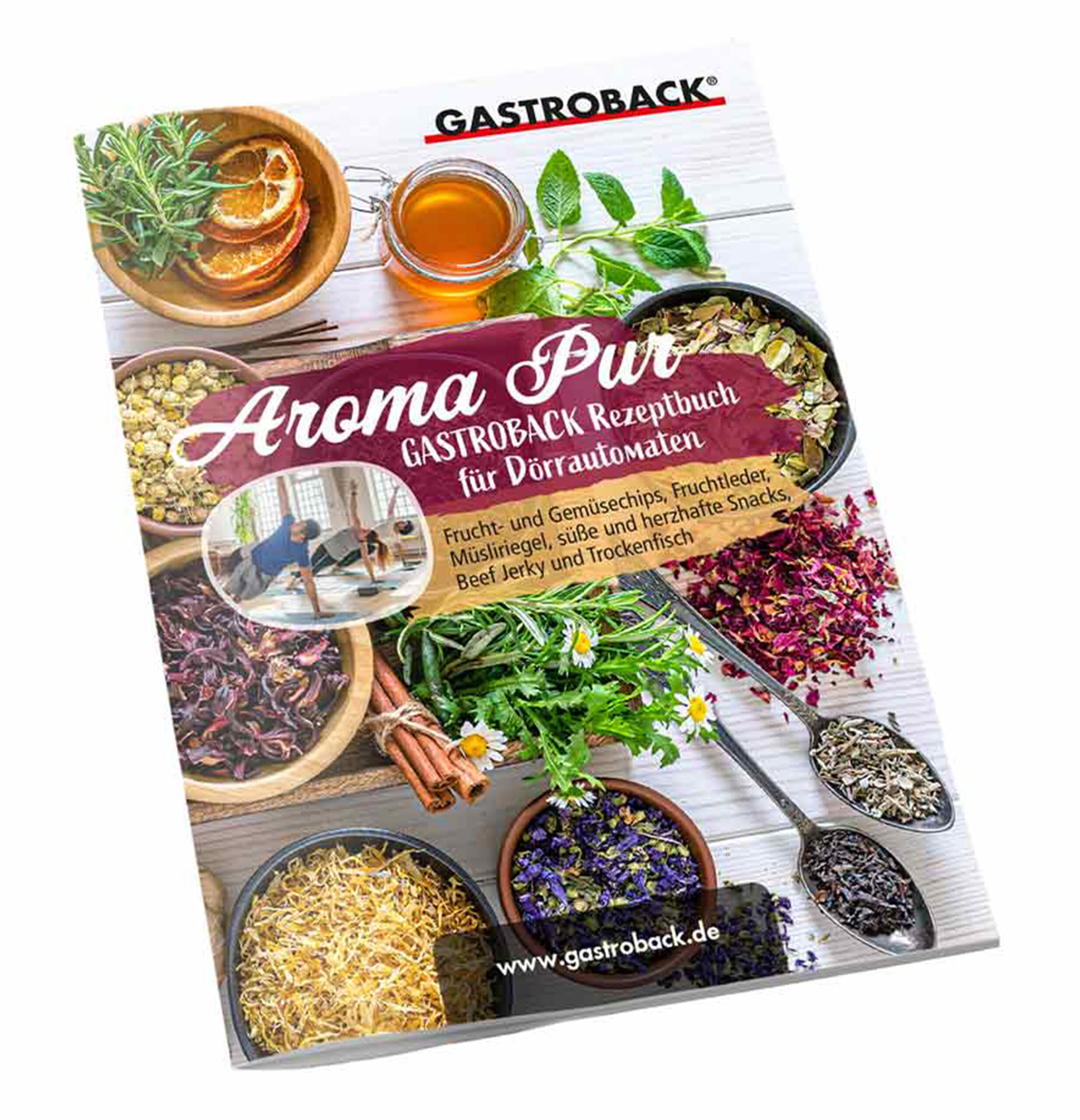 Dehydrator Mini Professional 46604-6