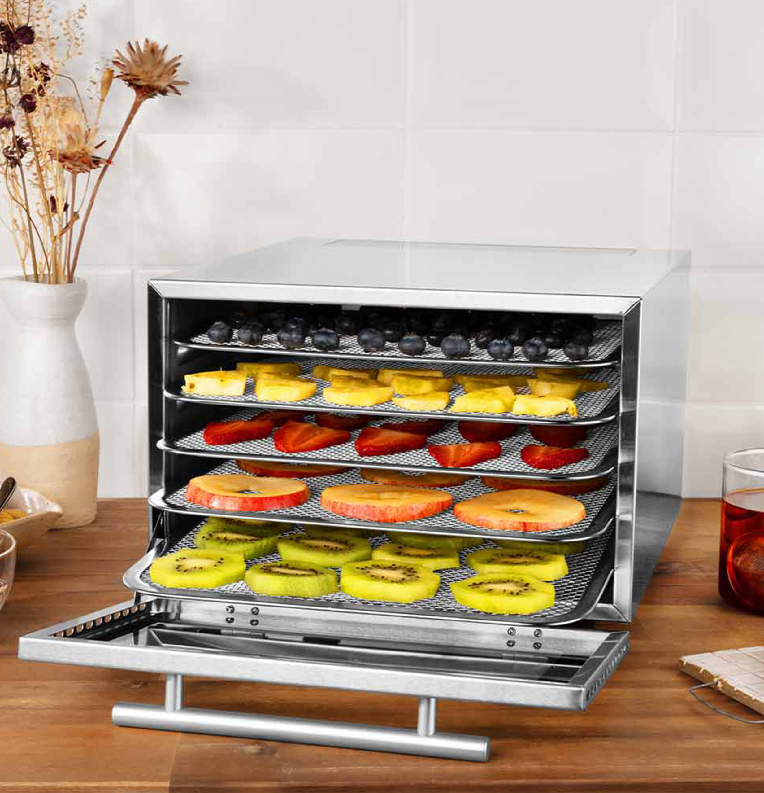 Dehydrator Mini Professional 46604-7